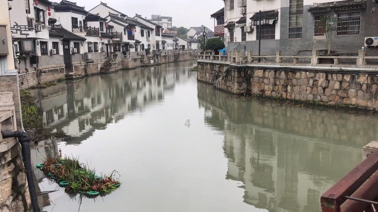 救援受困的鹭